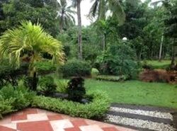 Holland Avenue (D10), Detached #450296361